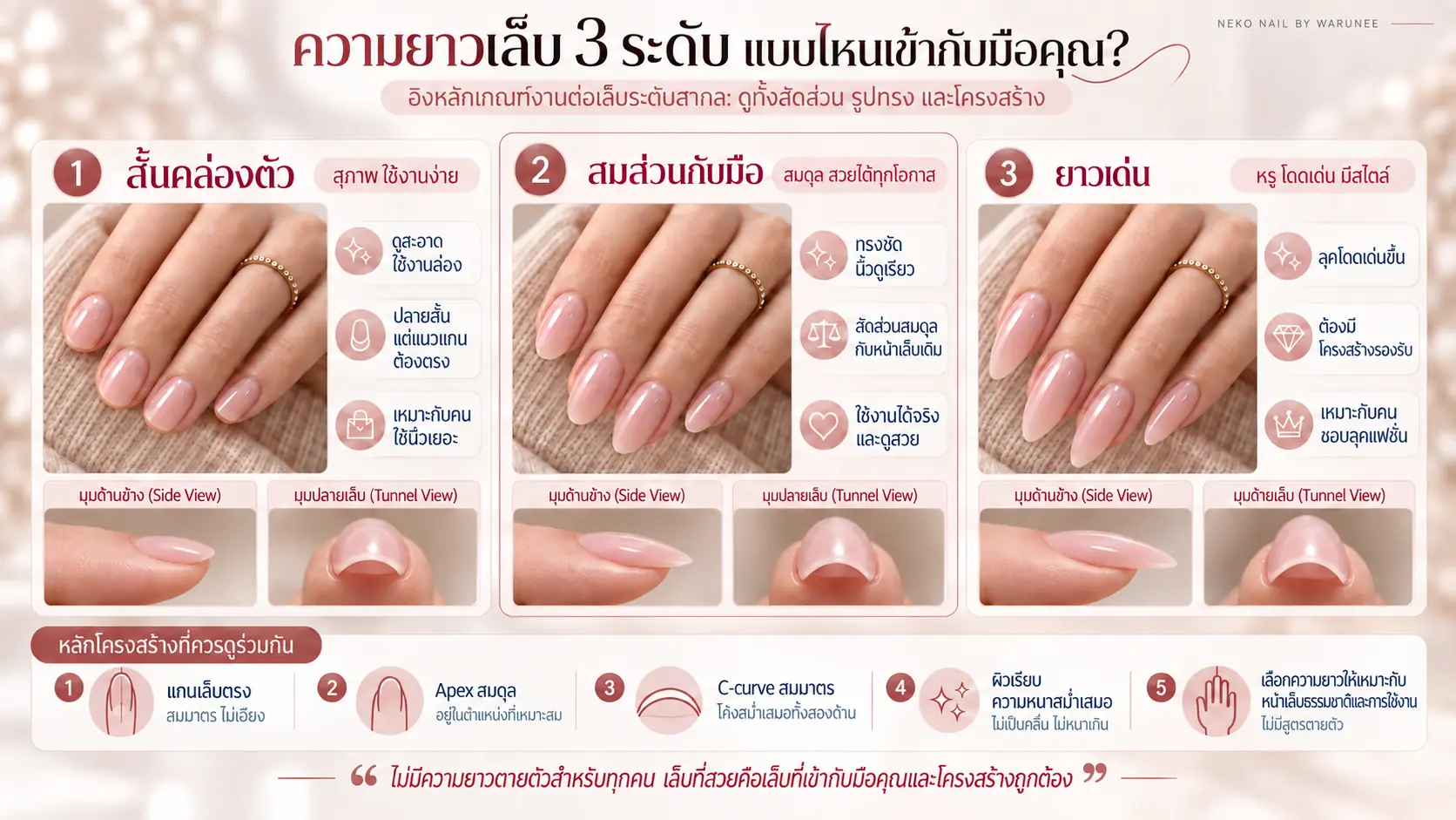 อินโฟกราฟิกเปรียบเทียบความยาวเล็บสั้น สมส่วน และยาวเด่น พร้อมมุมด้านข้างและ C-curve